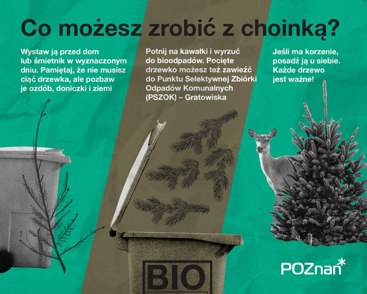 Grafika przedstawia rysunki pojemników na odpady, choinek oraz sarny, a także informację tekstową o wyrzucaniu choinek. - grafika rozmowy