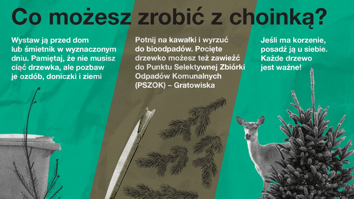 Grafika przedstawia rysunki pojemników na odpady, choinek oraz sarny, a także informację tekstową o wyrzucaniu choinek.