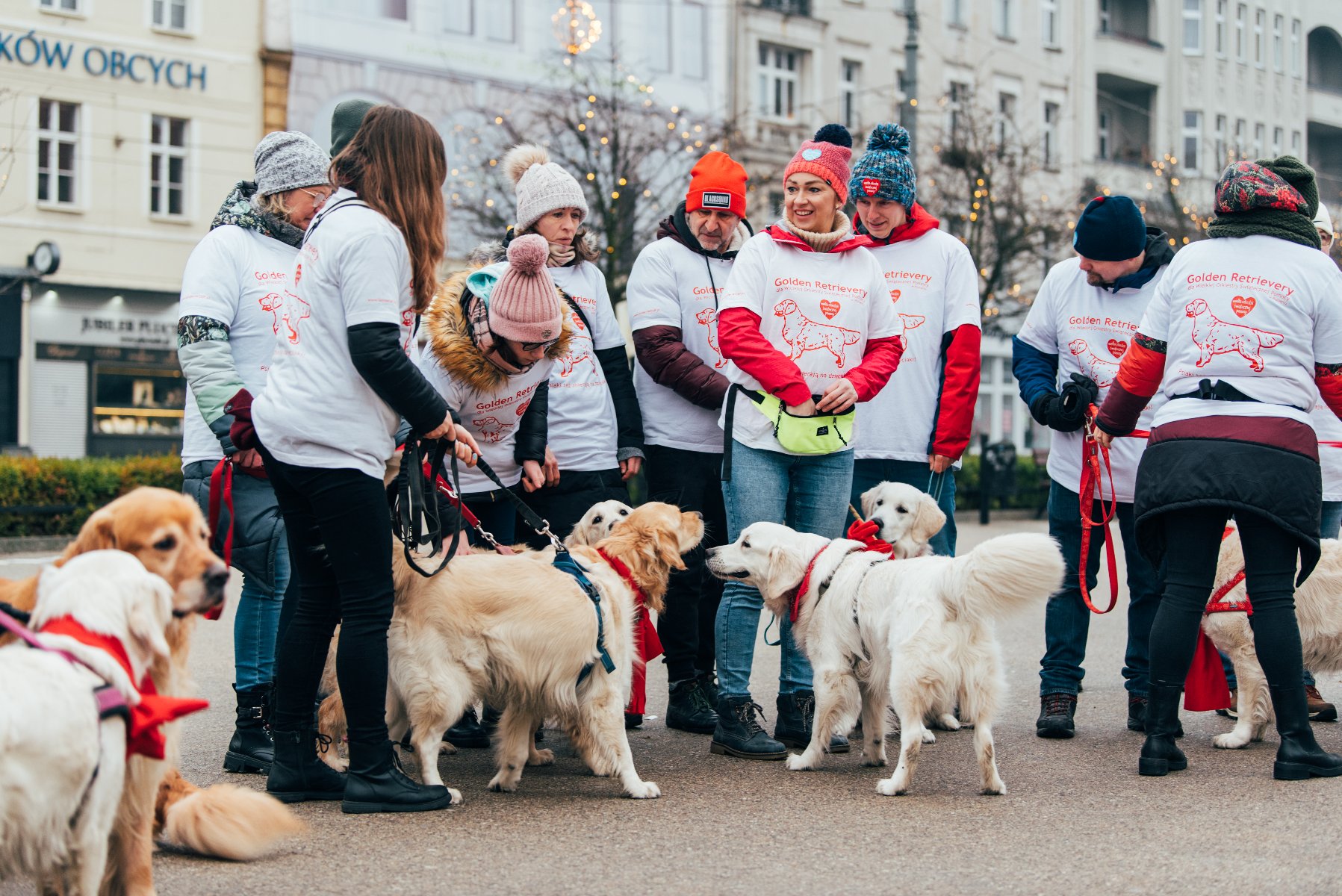 Galeria zdjęć przedstawia golden retrievery z właścicielami na pl. Wolności. - grafika rozmowy