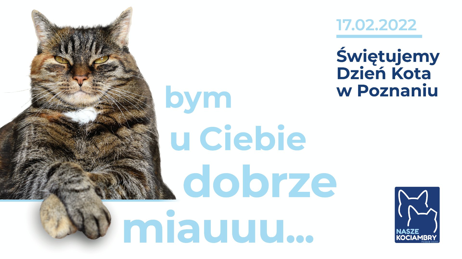 W lewej części grafiki znajduje się zdjęcie kota, obok napis "bym u ciebie dobrze miauuu..." W prawej części grafiki napis: 17.02.2022. Świętujemy Dzień Kota w Poznaniu. - grafika rozmowy