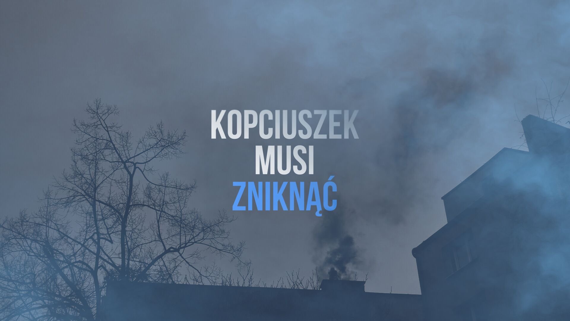 Widok na dach budynku i komin, z którego leci gęsty dym oraz napis "kopciuszek musi zniknąć"