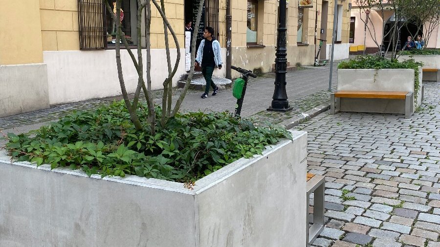 Zdjęcie przedstawia donice z roślinami na ulicy i człowieka idącego chodnikiem.