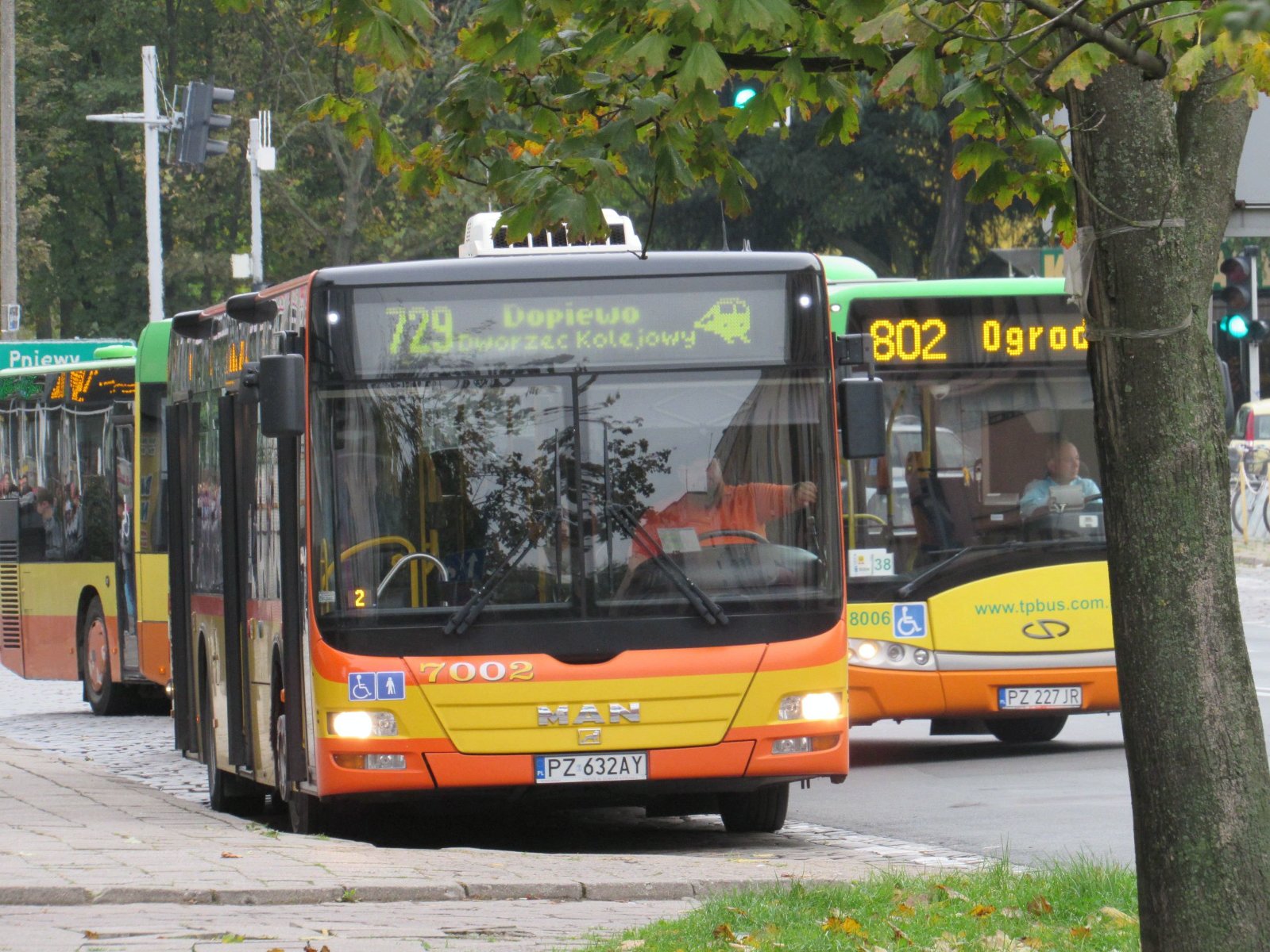 Autobus linii 729 - grafika rozmowy