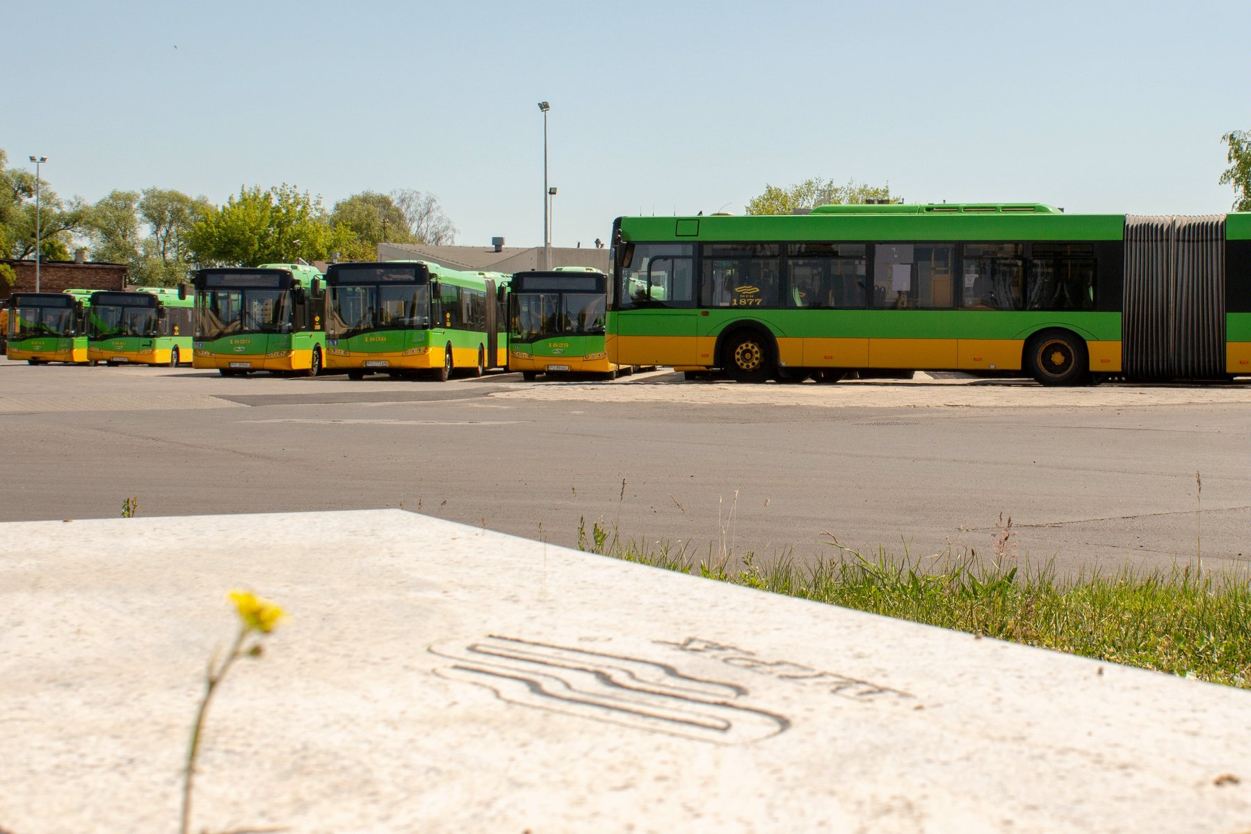 Zielone autobusy w Poznaniu - grafika rozmowy