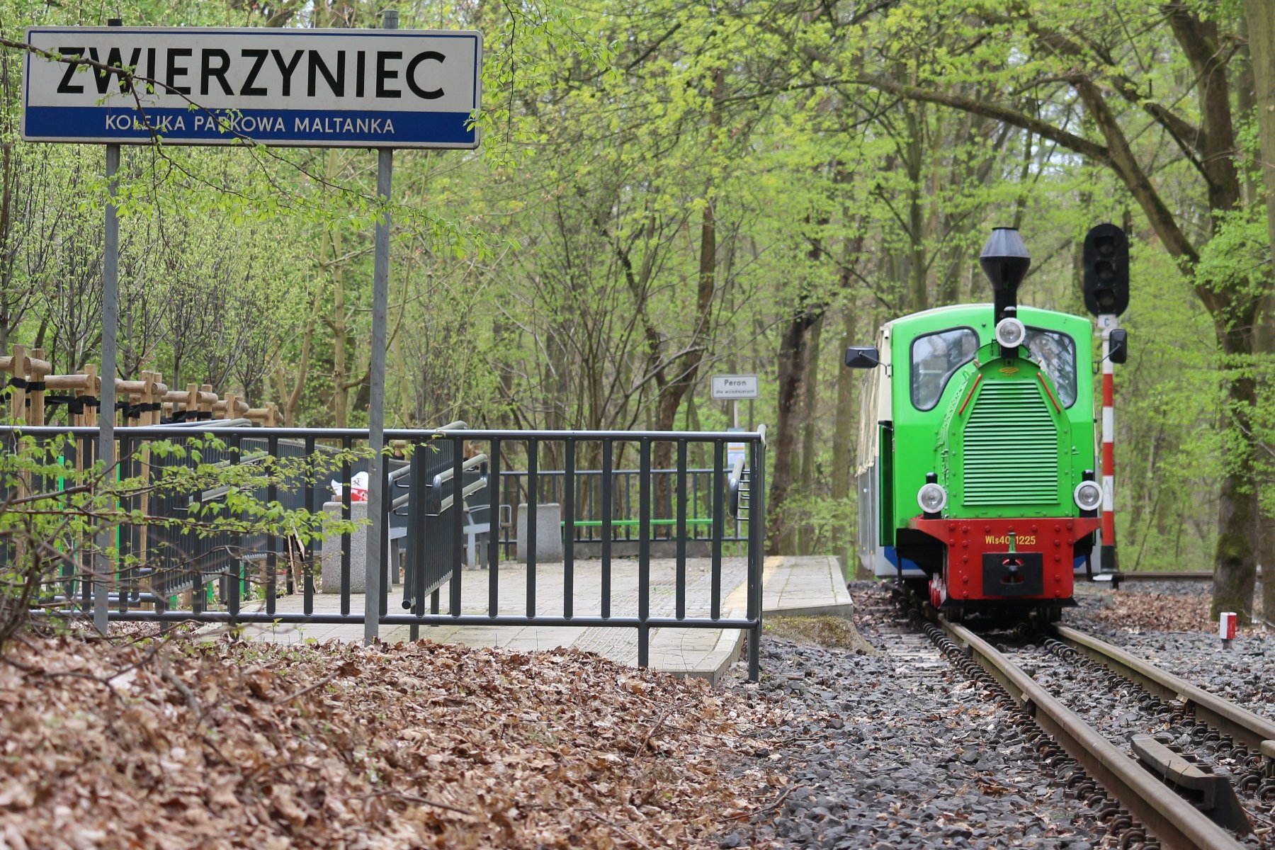 Na zdjęciu kolejka parkowa na stacji Zwierzyniec, w tle zielony las - grafika rozmowy