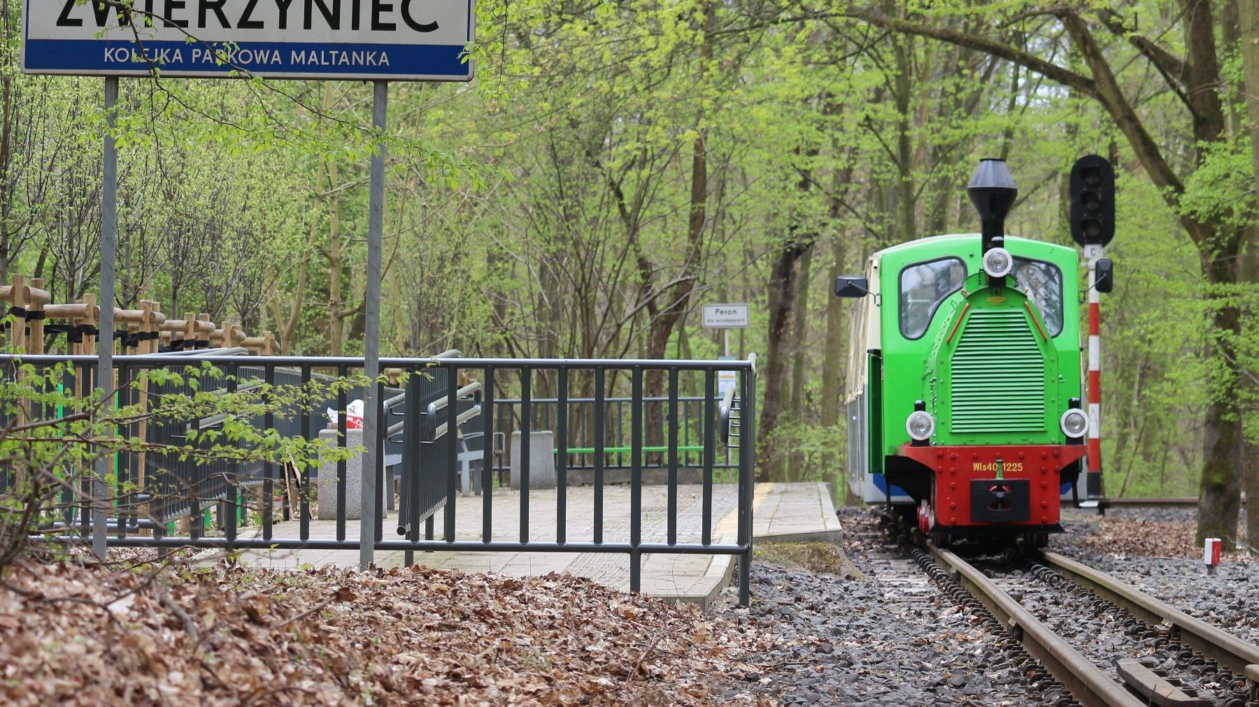 Na zdjęciu kolejka parkowa na stacji Zwierzyniec, w tle zielony las