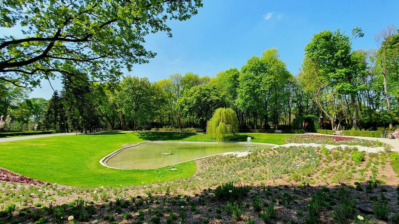 Zdjęcie przedstawia park Cytadelę. - grafika rozmowy