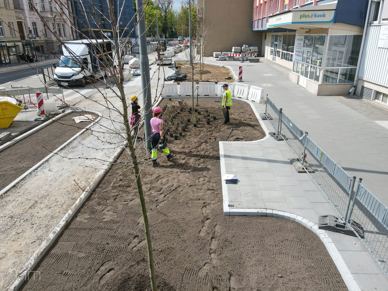 Galeria zdjęć z sadzenia drzew i zieleni przy ul. Zwierzynieckiej - grafika rozmowy