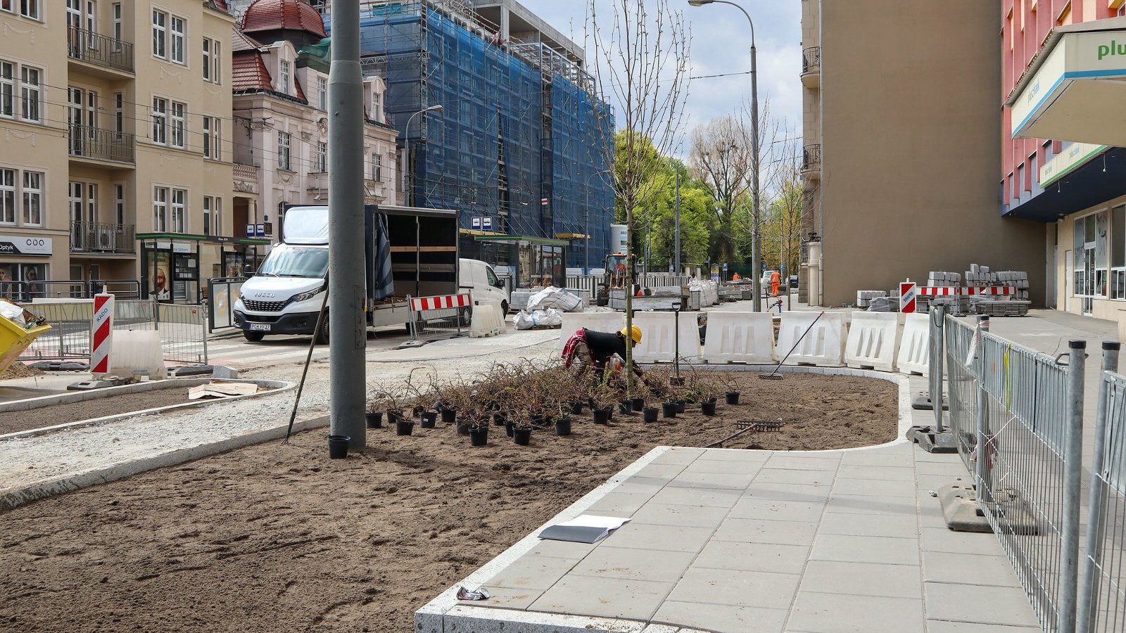 Galeria zdjęć z sadzenia drzew i zieleni przy ul. Zwierzynieckiej