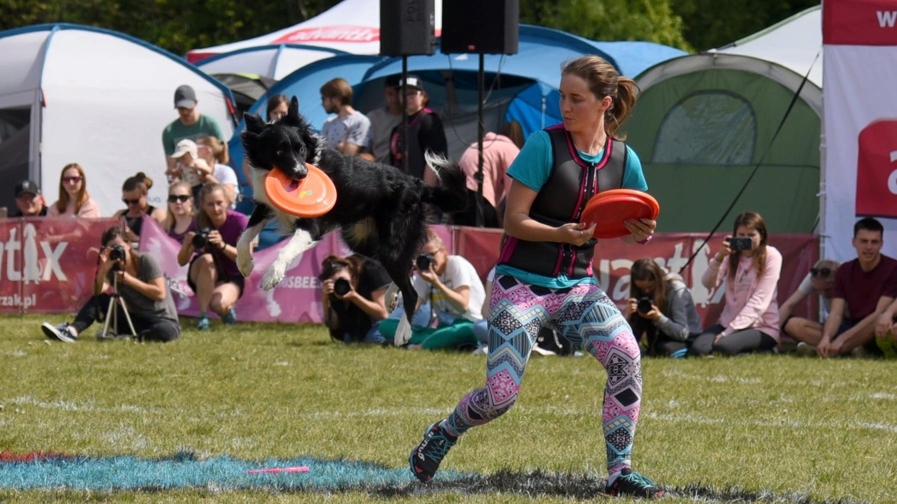 Zdjęcie przedstawia dziewczynę rzucającą frisbee oraz psa, który łapie frisbee w locie. W tle widać obserwujących pokaz ludzi. - grafika rozmowy