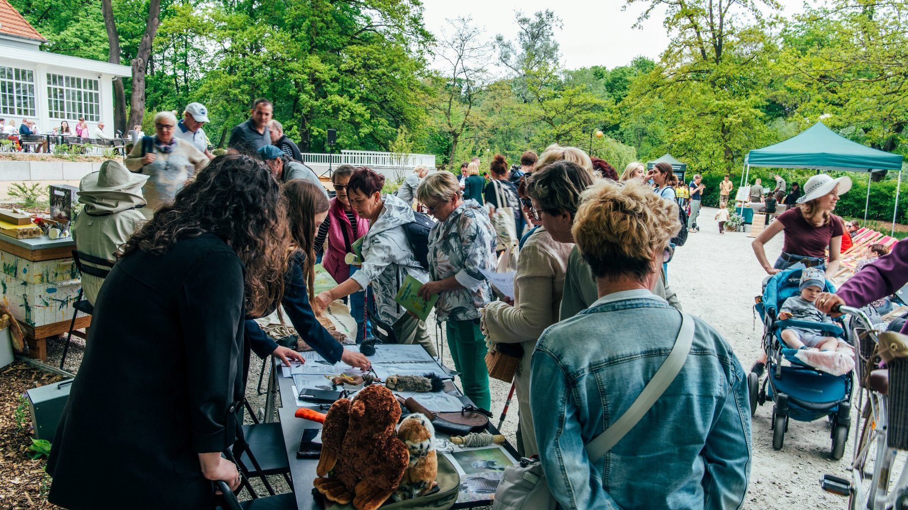 Galeria zdjęć przedstawia piknik w parku Sołackim. Na zdjęciach widać ludzi podczas wspólnego sprzątania, sadzenia drzew i różnych warsztatów.