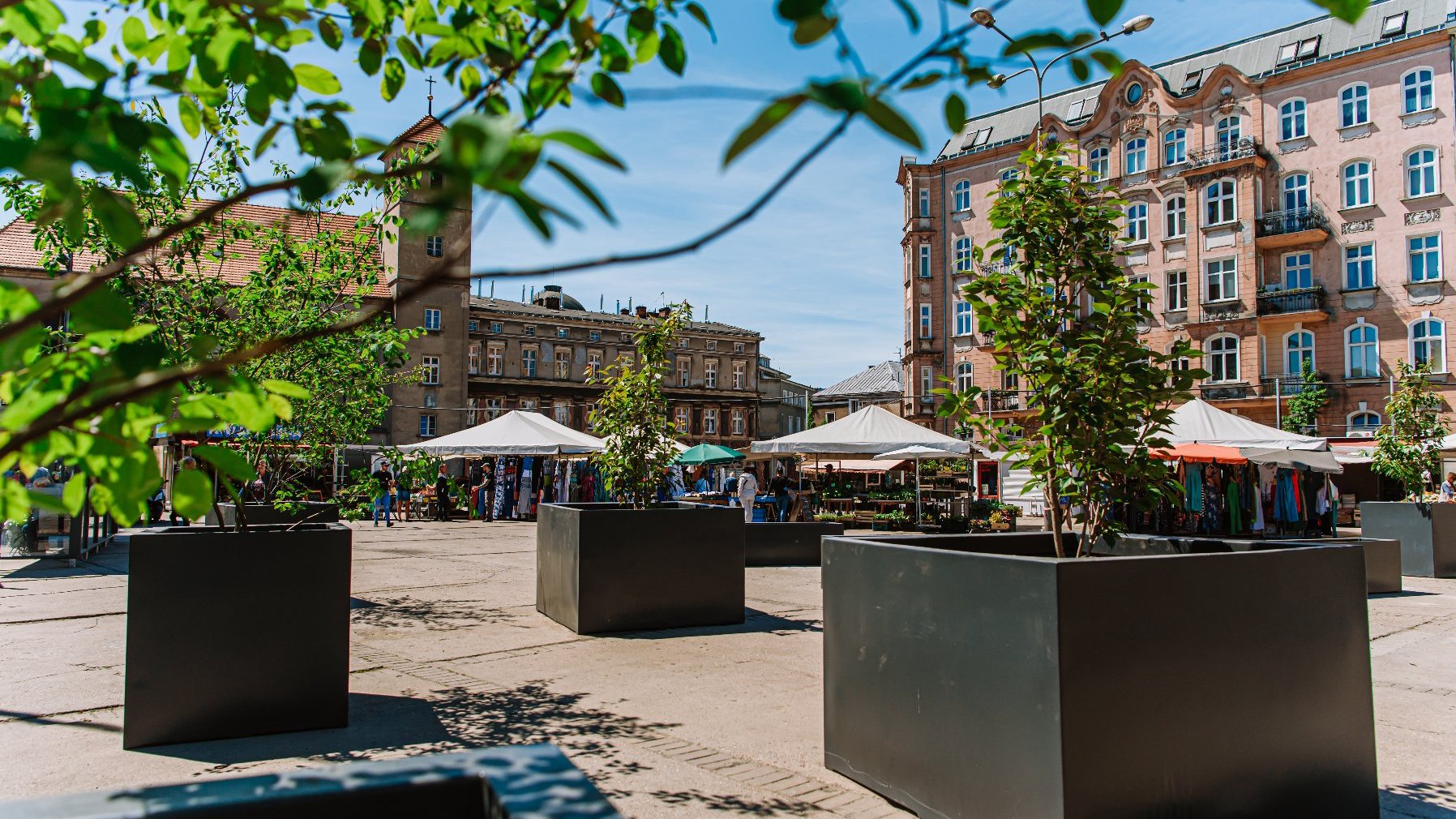 Zdjęcie przedstawia plac Bernardyński. Widać na nim donice z drzewami, w tle znajdują się stragany. - grafika rozmowy