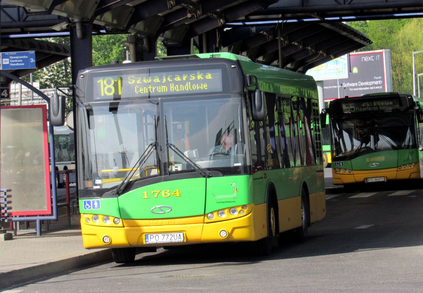 Autobus linii 181 - grafika rozmowy