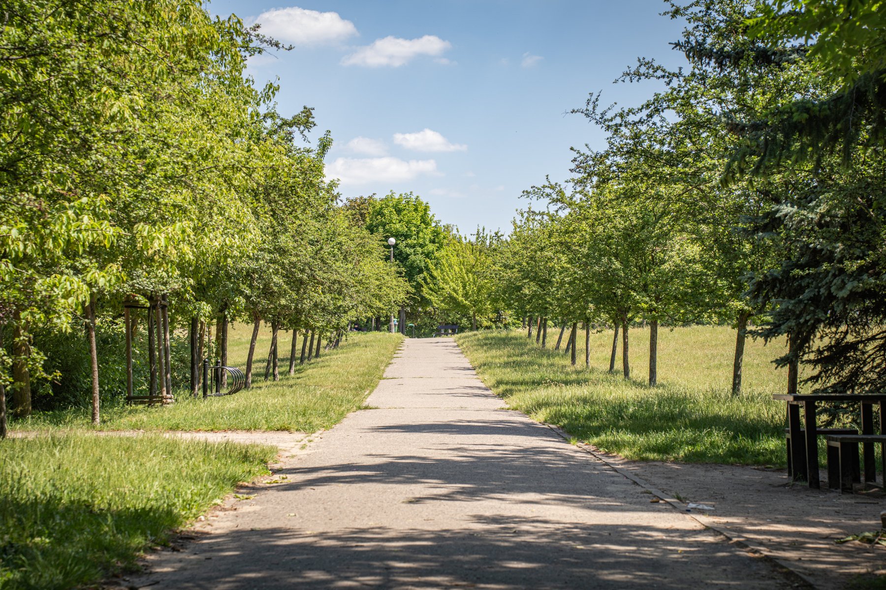 Galeria zdjęć przedstawia park Kasprowicza. Widać na nim roślinność, a także plac zabaw, siłownię zewnętrzną i halę Arena. - grafika rozmowy