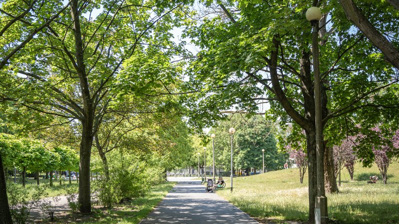 Galeria zdjęć przedstawia park Kasprowicza. Widać na nim roślinność, a także plac zabaw, siłownię zewnętrzną i halę Arena.