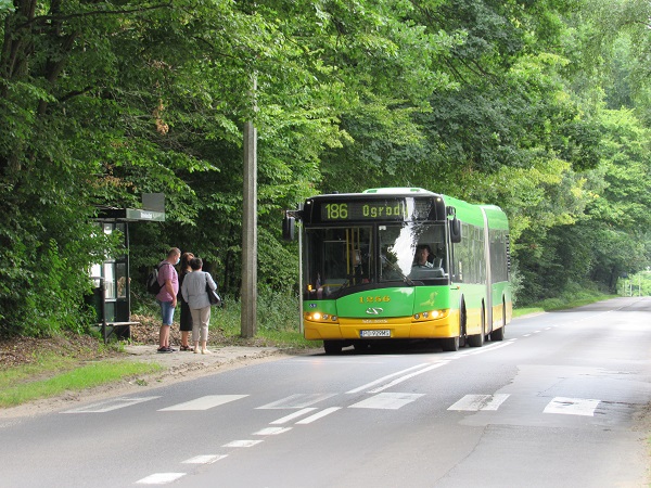 Autobus linii 186 - grafika rozmowy