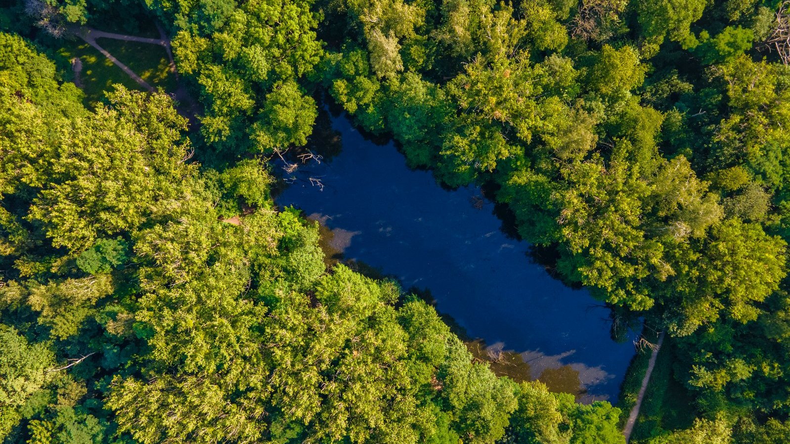 Stacja meteorologiczna pomoże w rewitalizacji Żurawińca