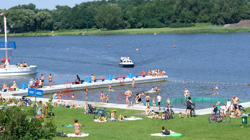 Zdjęcie kąpieliska nad Maltą, widać ludzi odpoczywających na trawniku przed jeziorem - grafika rozmowy