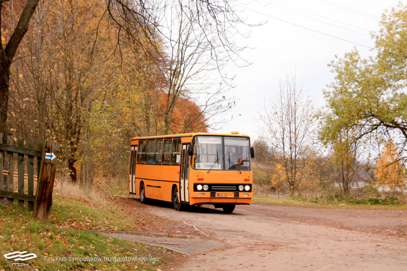 Na zdjęciu pomarańczowy autobus - grafika rozmowy