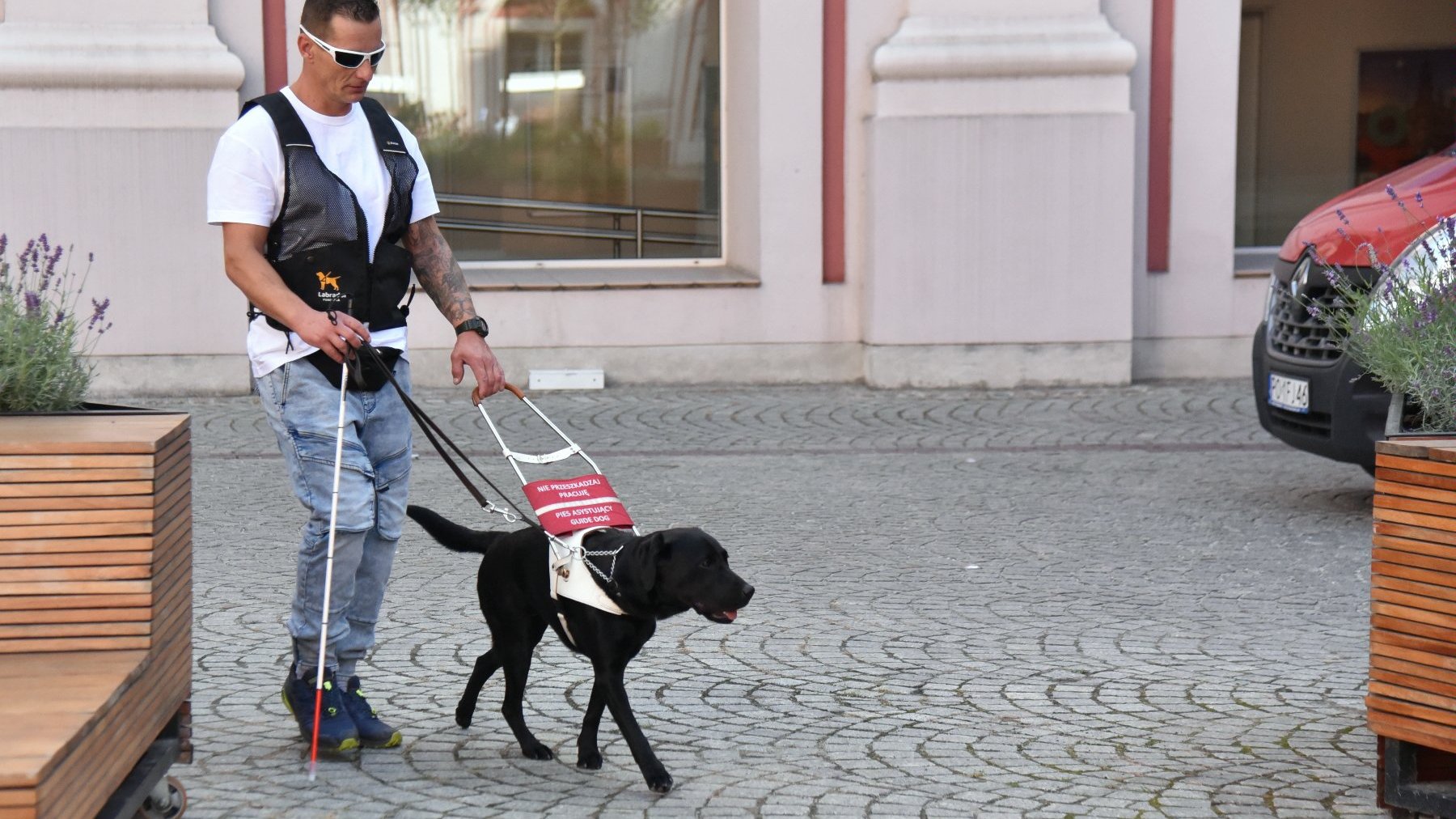 Na zdjęciu trener i pies przechodzący przez dziedziniec urzędu miasta