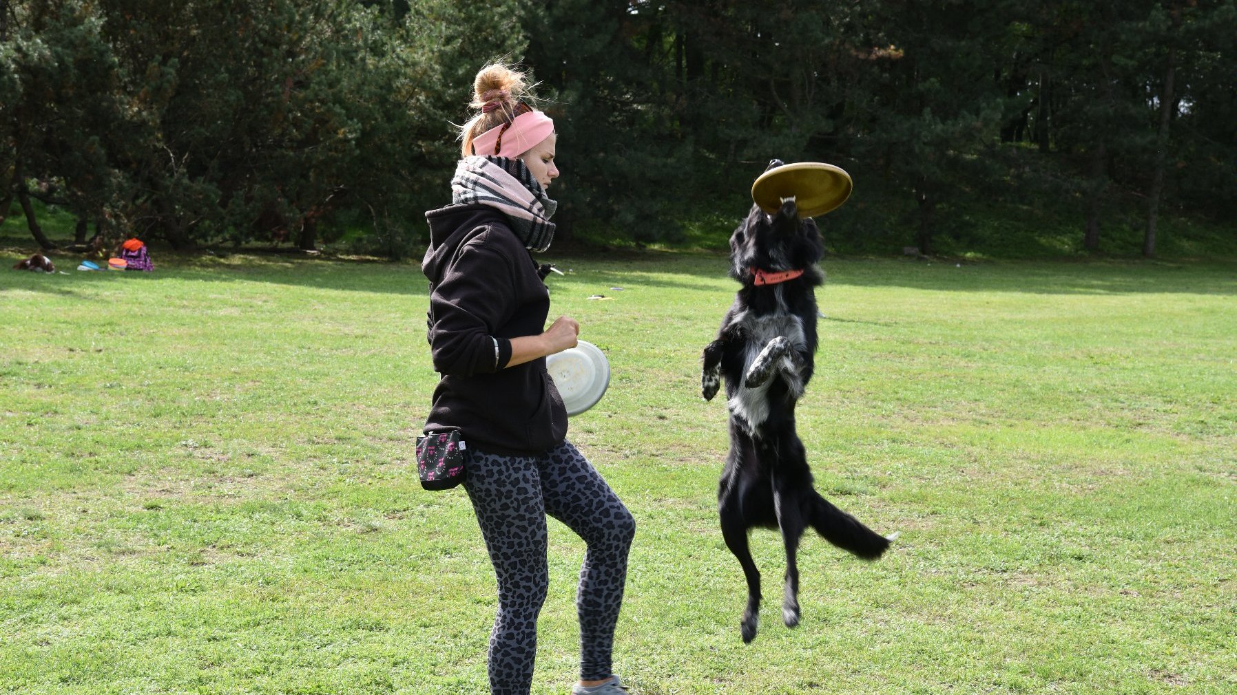 Na zdjęciu pies łapie frisbee, obok właścicielka