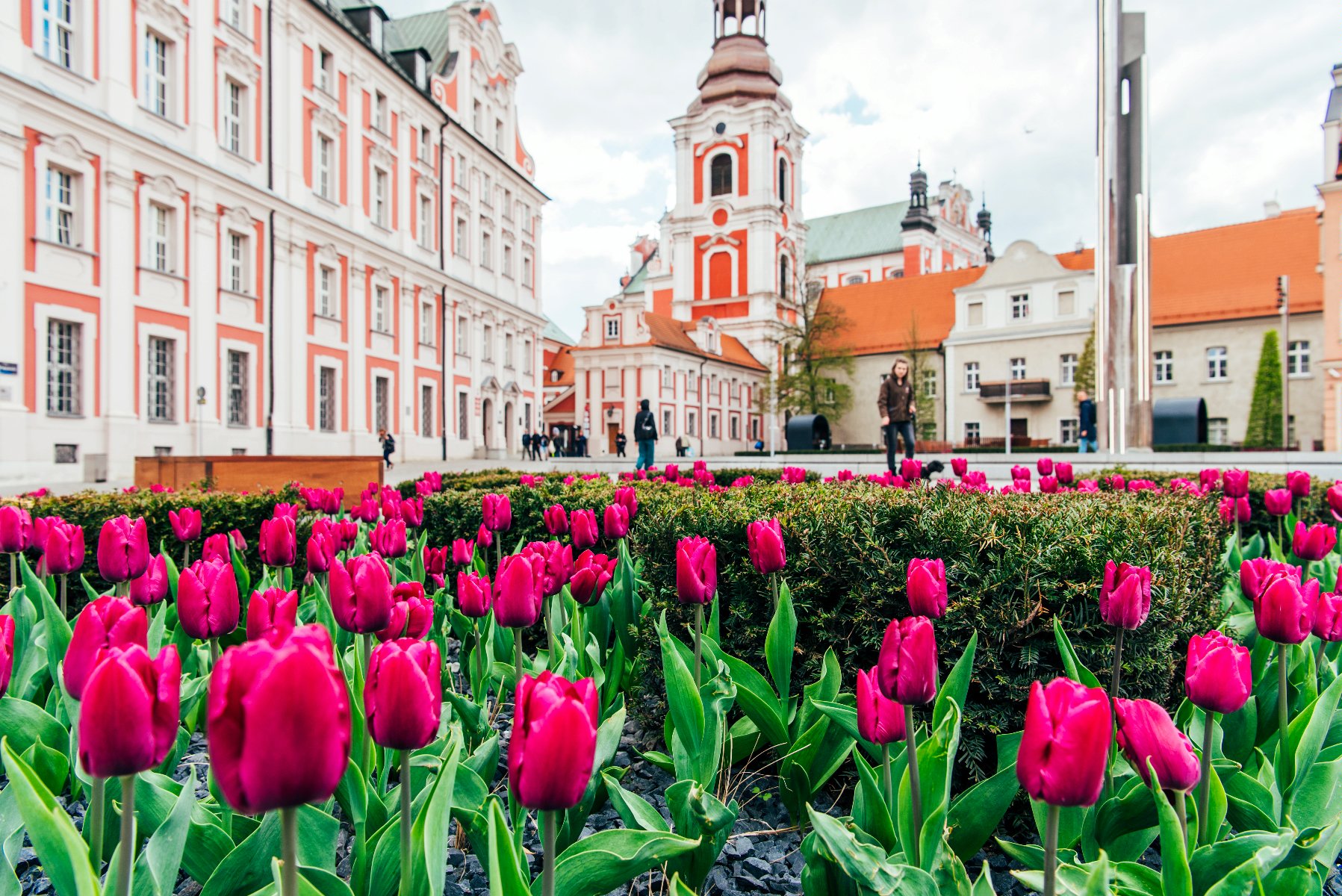 Na zdjęciu plac Kolegiacki, na pierwszym planie kwiaty, w tle budynek urzędu - grafika rozmowy