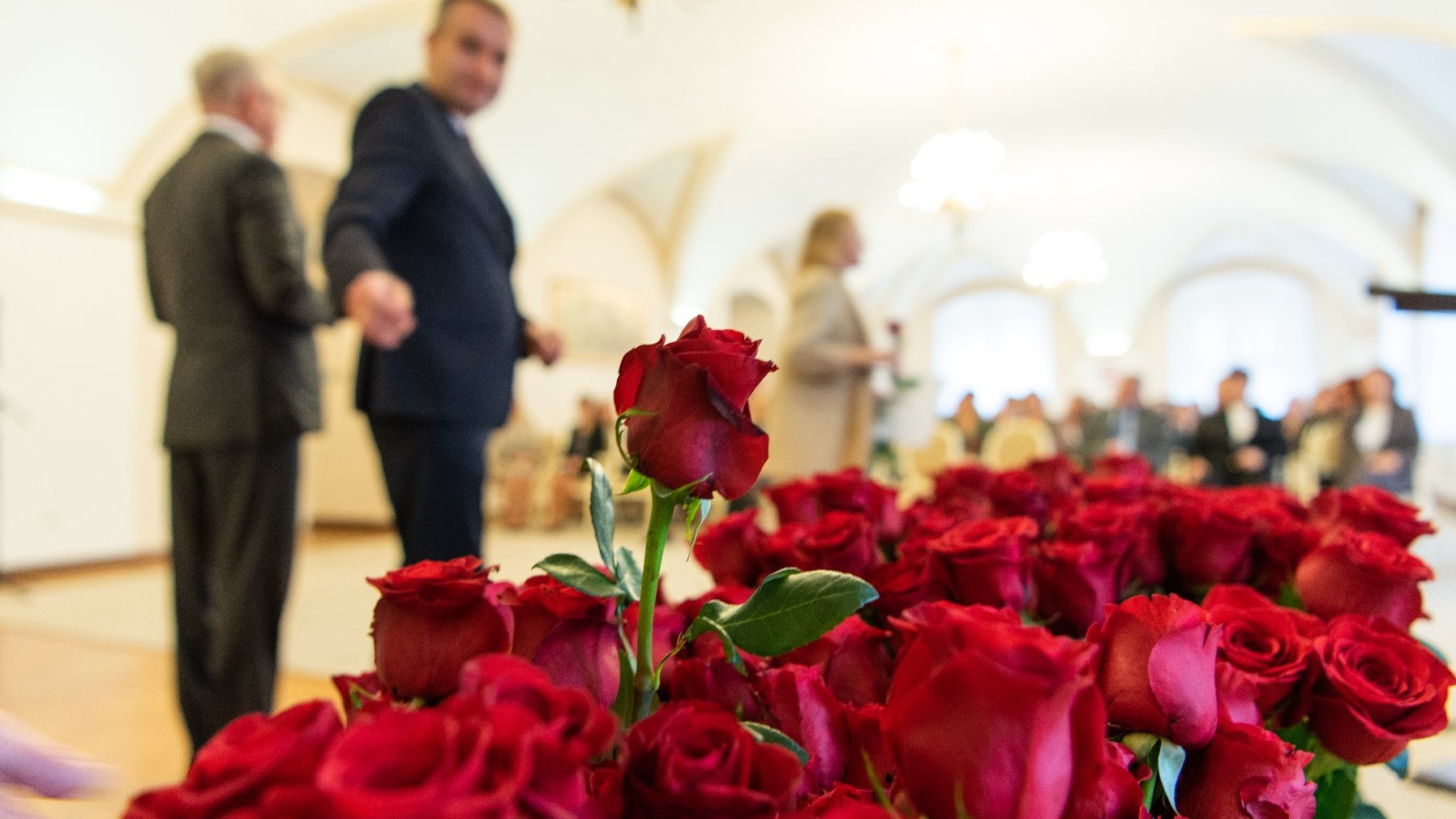 Na zdjęciu na pierwszym planie pęk róż, w tle sięgająca po nie osoba