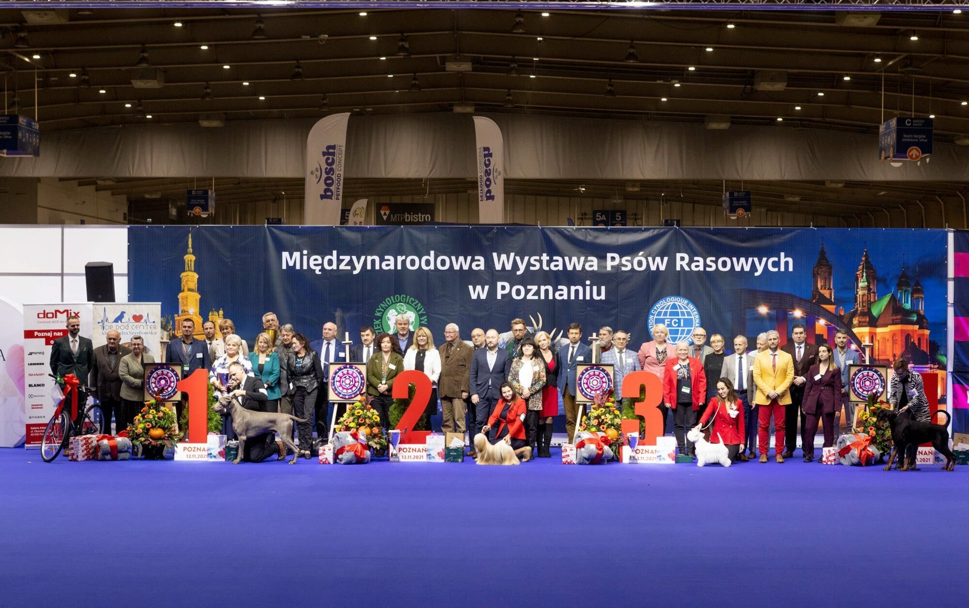 Na zdjęciu grupa ludzi z psami. Pozują z nagrodami za miejscami na podium - grafika rozmowy