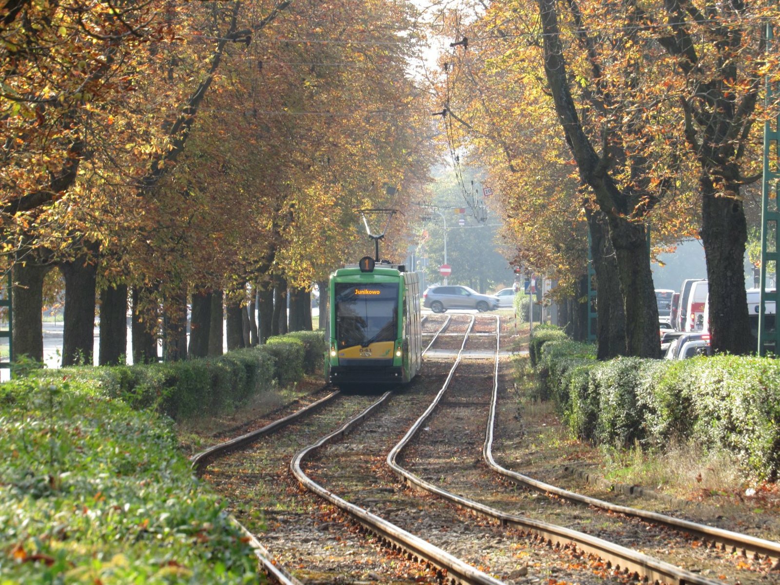 Tramwaj linii nr 1 - grafika rozmowy