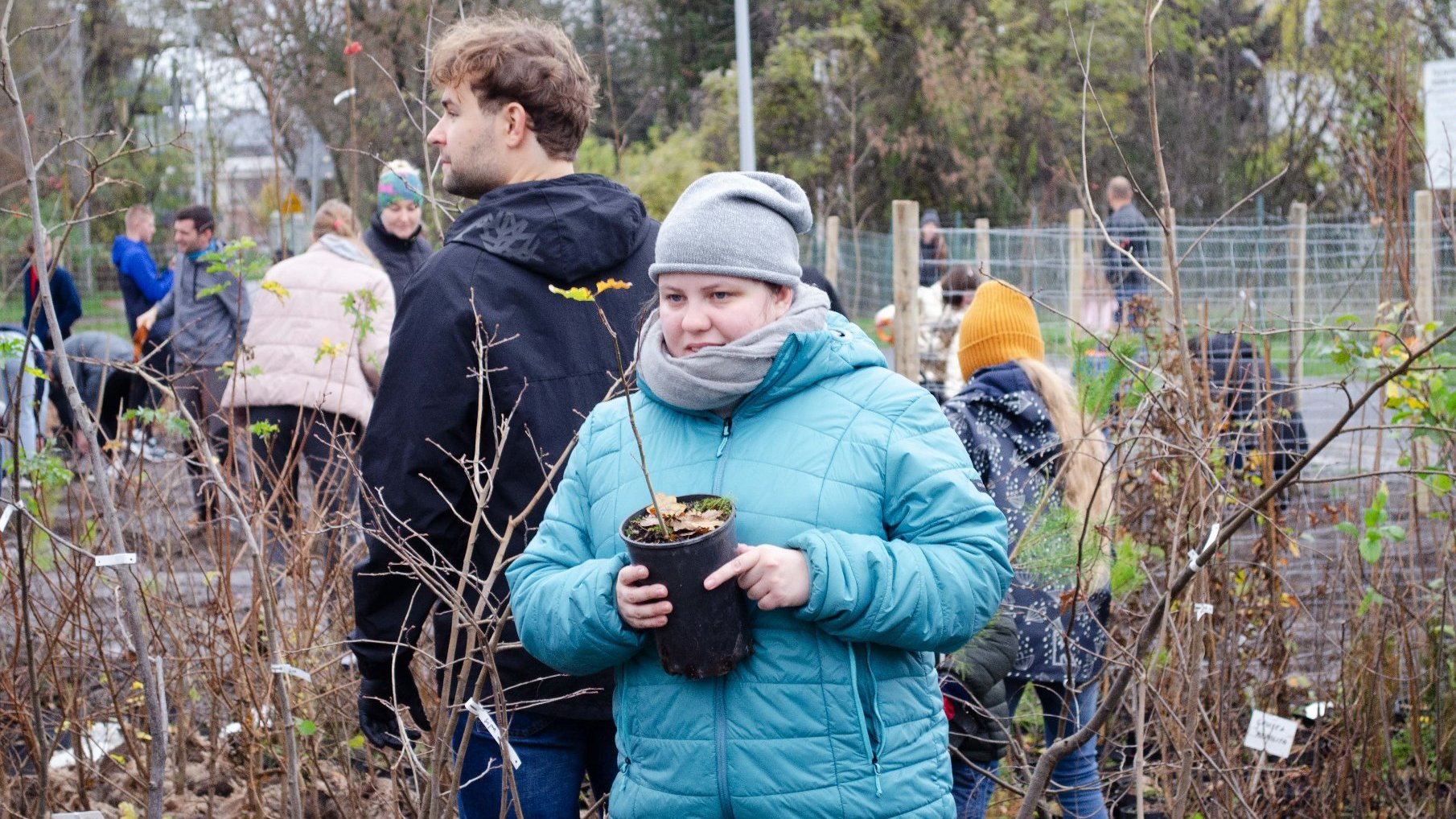 Galeria zdjęć przedstawiająca ludzi sadzących drzewa