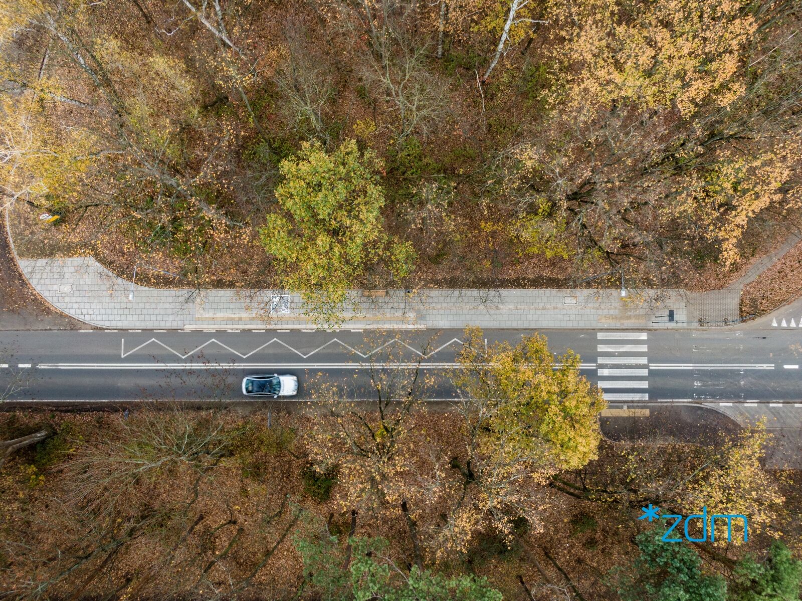 Galeria zdjęć przystanku i przejścia przy ul. Koszalińskiej - grafika rozmowy