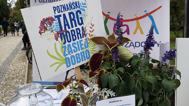 Na zdjęciu rośliny i napis: Poznański Targ Dobra: zasiej dobro - grafika rozmowy