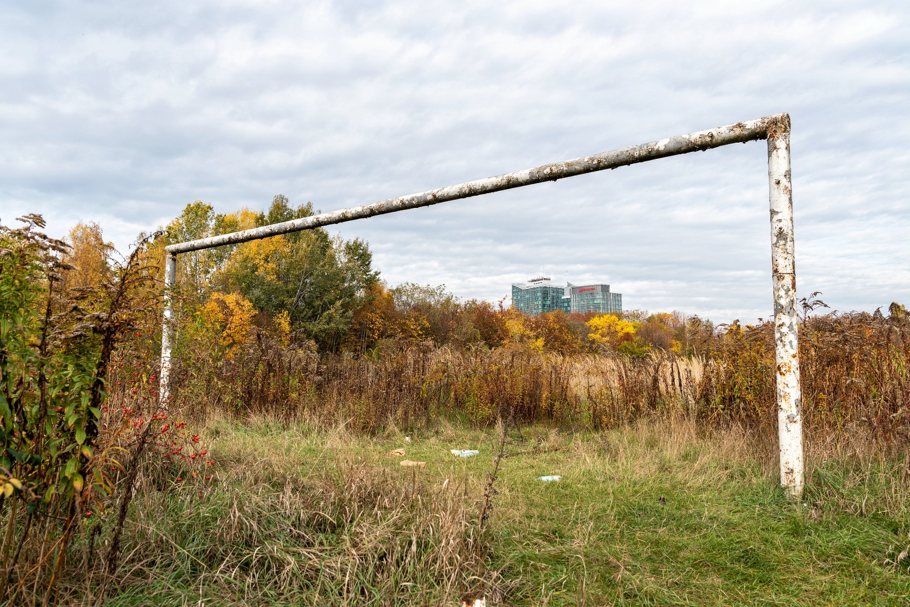 Galeria zdjęć przedstawia dawny stadion im. E. Szyca. Na zdjęciach widać pozostałości infrastruktury sportowej porośnięte roślinnością. - grafika rozmowy