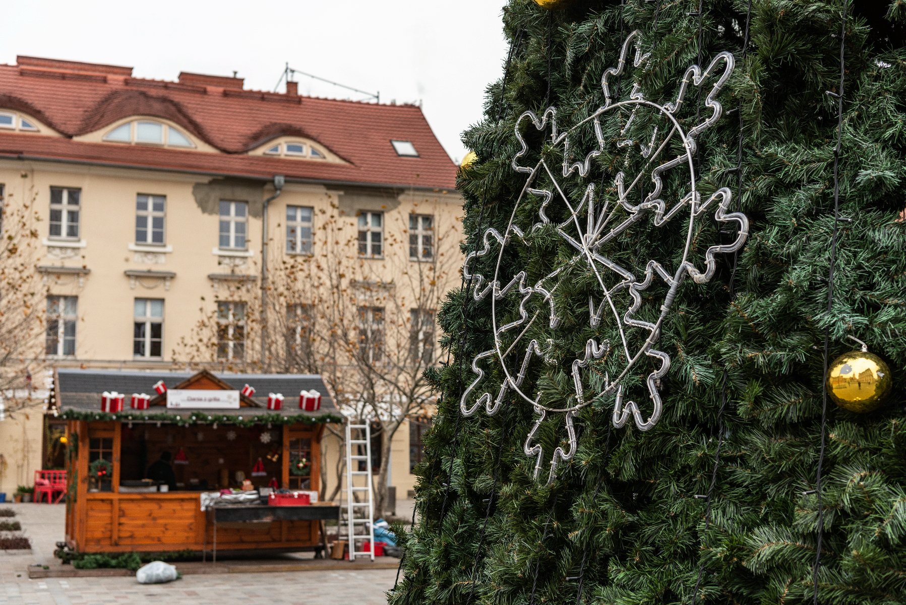 Galeria zdjęć przedstawia choinkę bożonarodzeniową udekorowaną lampkami i bombkami. - grafika rozmowy