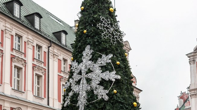 Galeria zdjęć przedstawia choinkę bożonarodzeniową udekorowaną lampkami i bombkami.