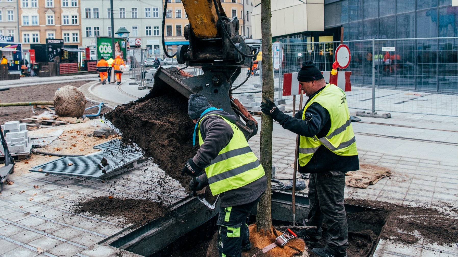 Galeria zdjęć z sadzenia drzew na Al. Marcinkowskiego