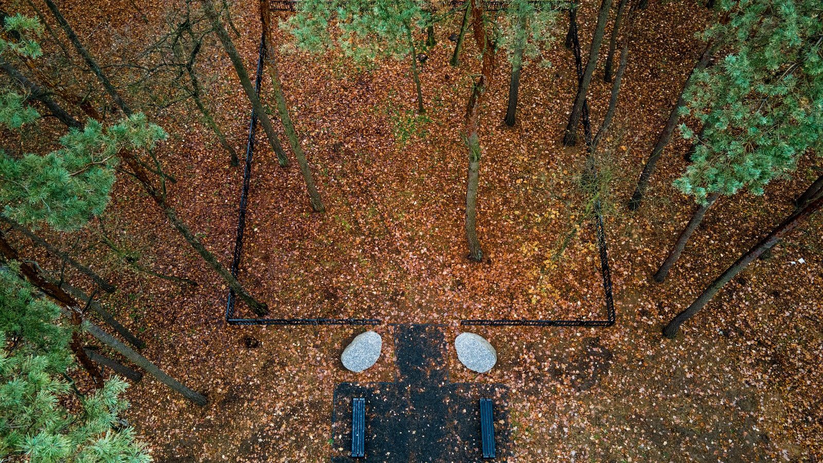 Na cmentarzu junikowskim powstał Las Pamięci