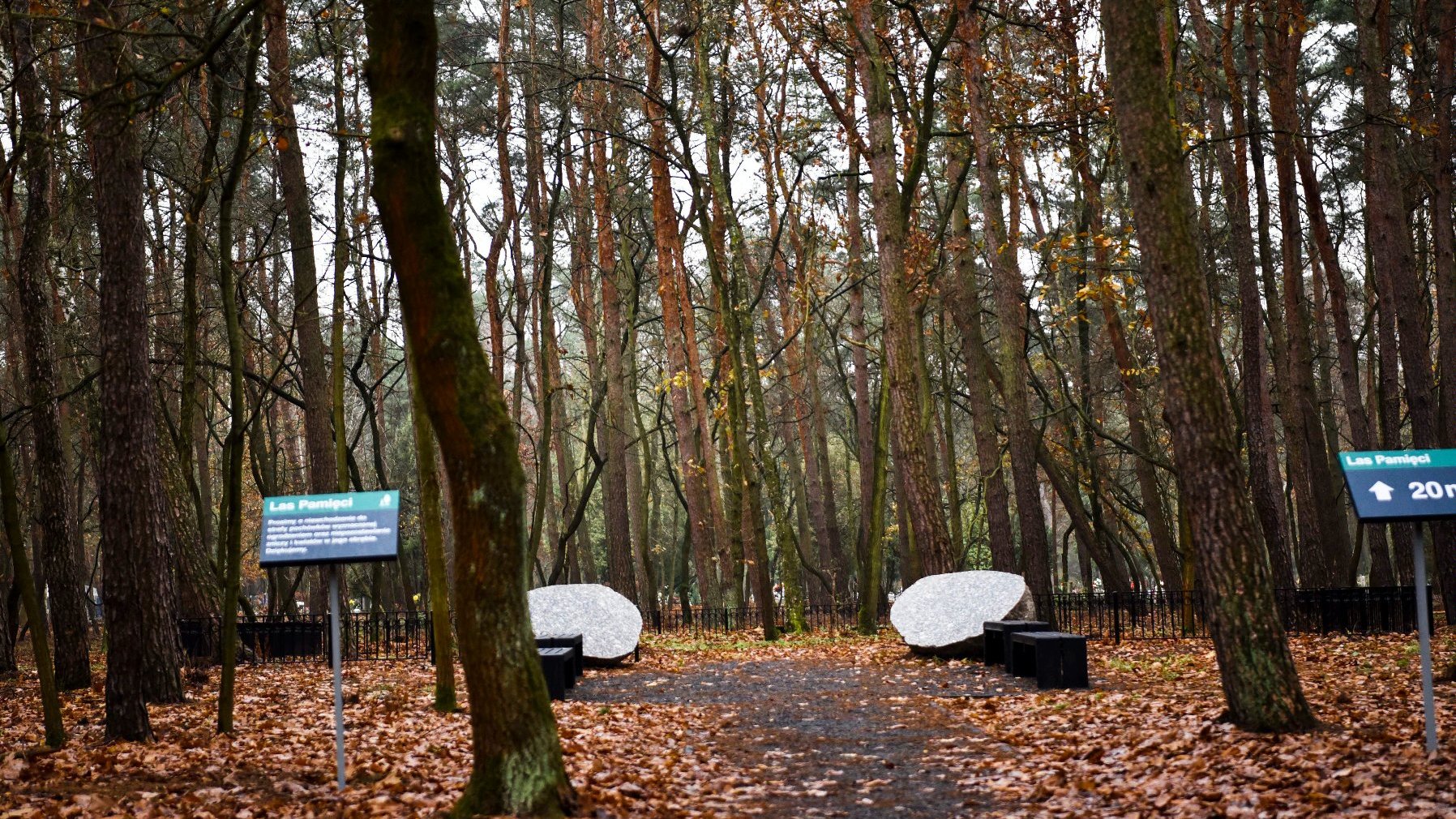 Galeria zdjęć przedstawia Las Pamięci na cmentarzu junikowskim.