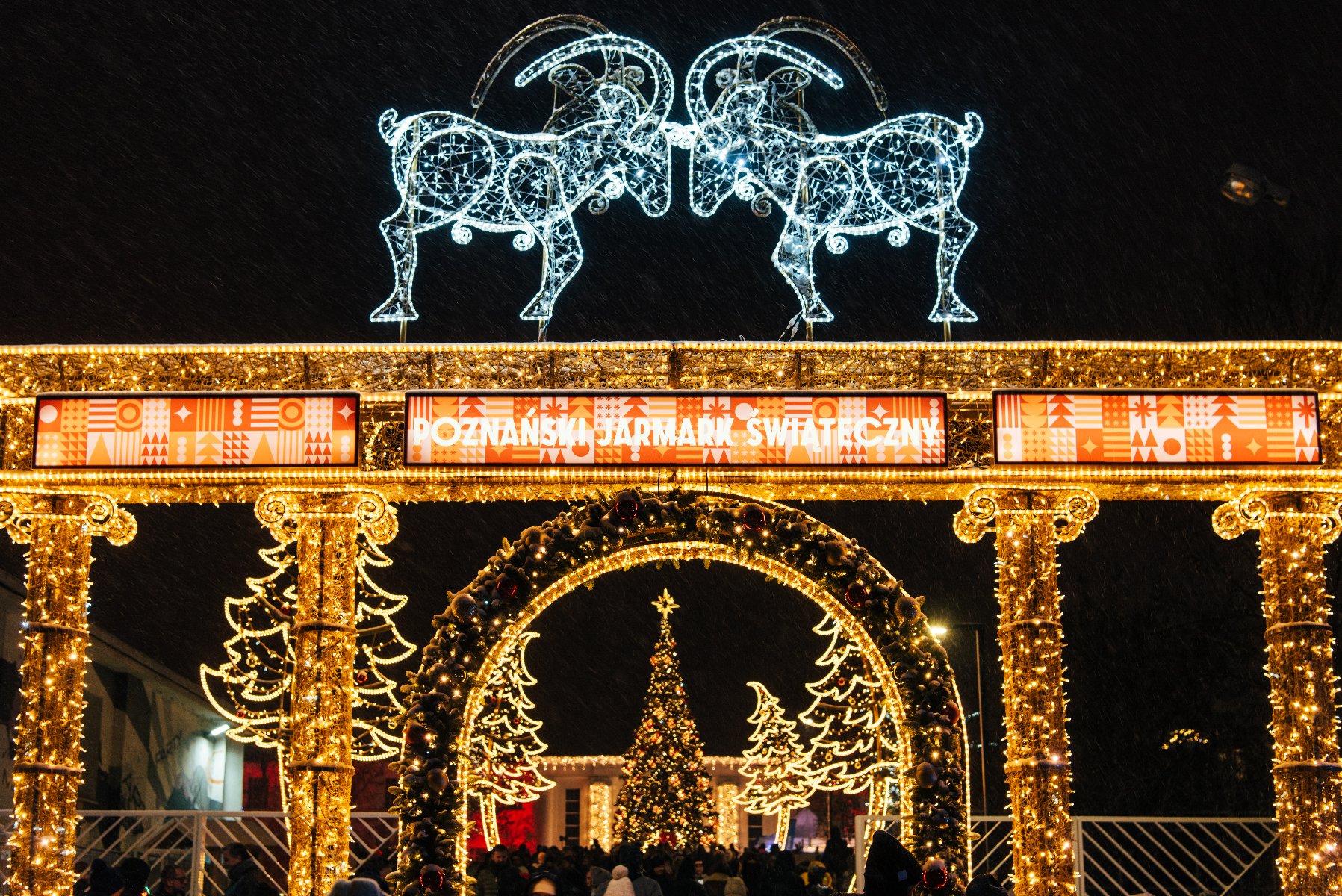 Na zdjęciu iluminacja bramy oraz koziołków nad nią - grafika rozmowy