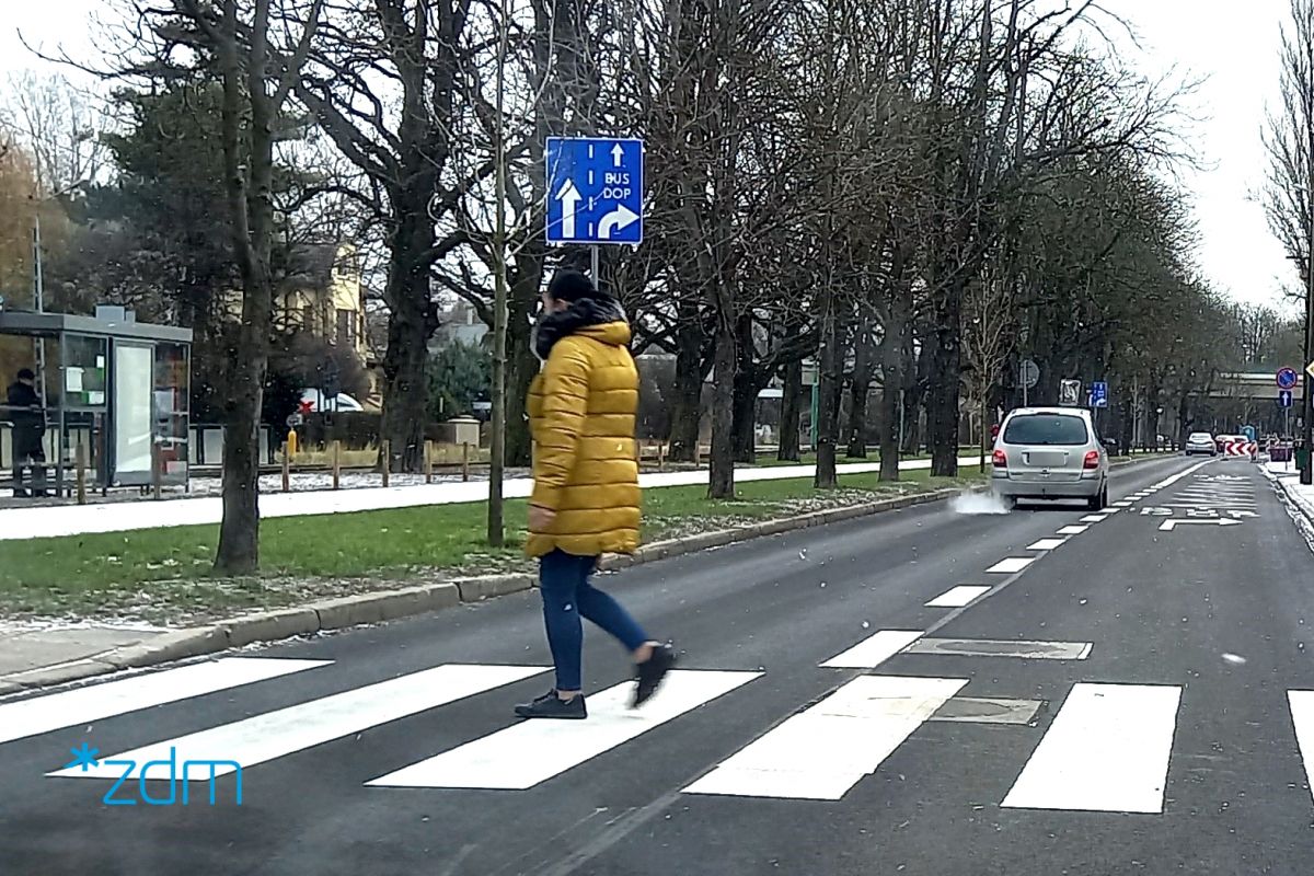 Osoba przechodząca przez przejście na al. Wielkopolskiej. W tle widać auto i malowanie buspasa na jezdni - grafika rozmowy