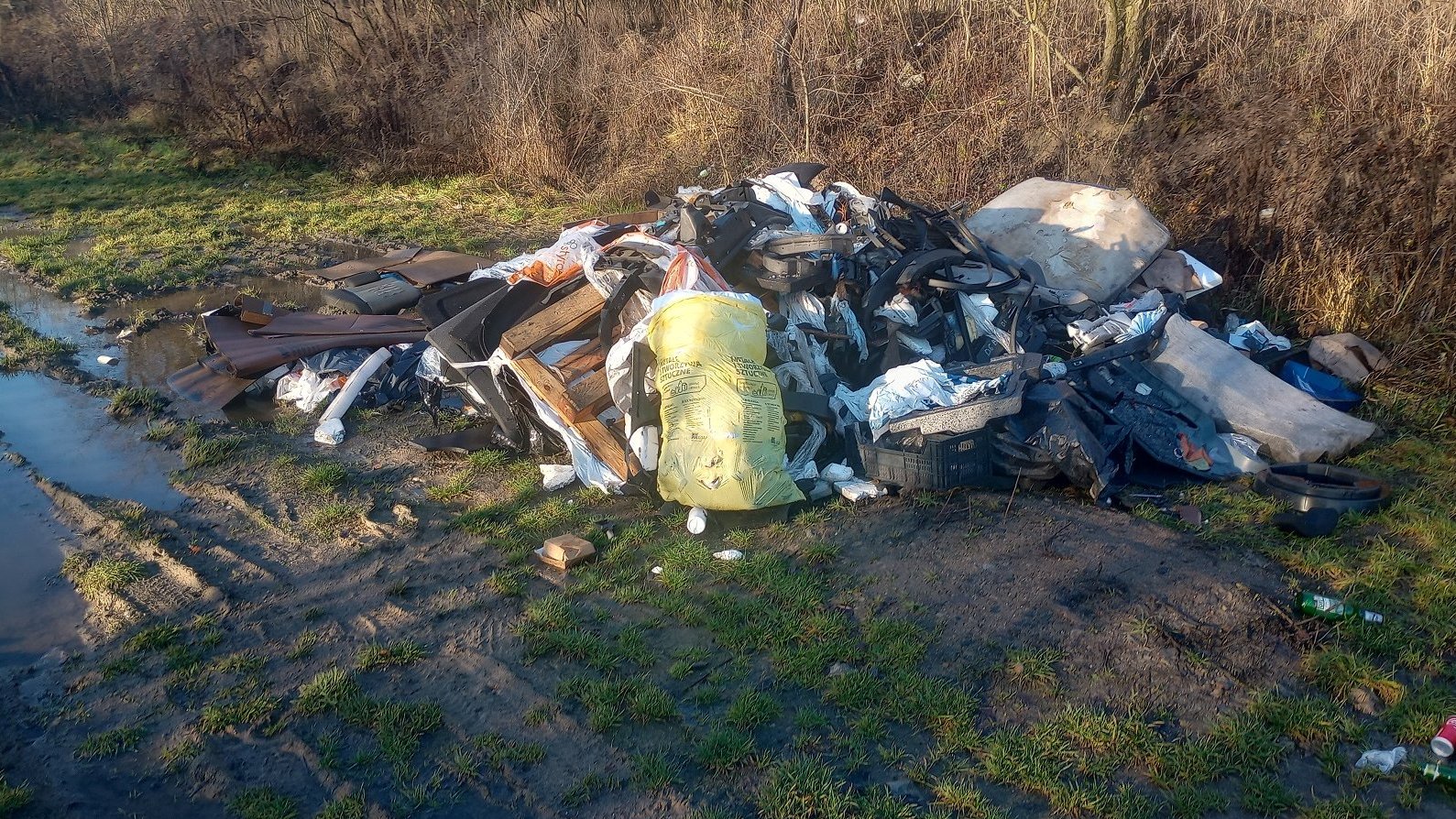 Na zdjęciu sterta śmieci na trawniku