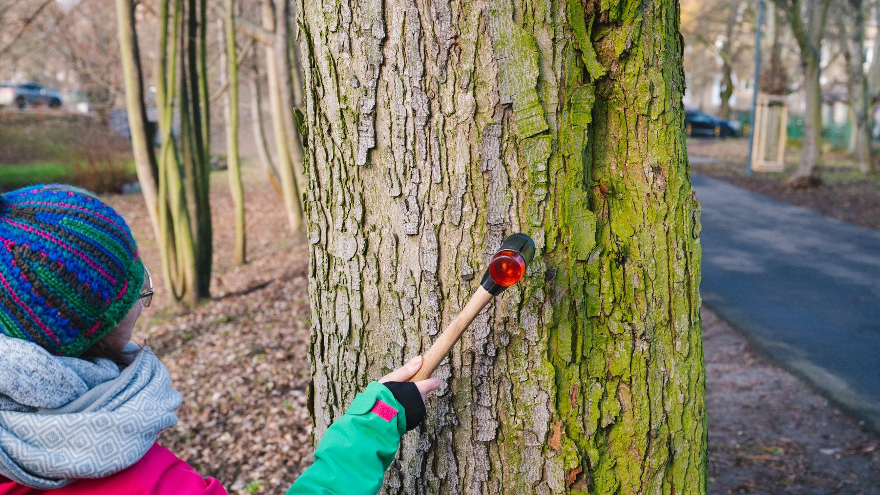 Na zdjęciu kobieta uderza młotkiem w drzewo