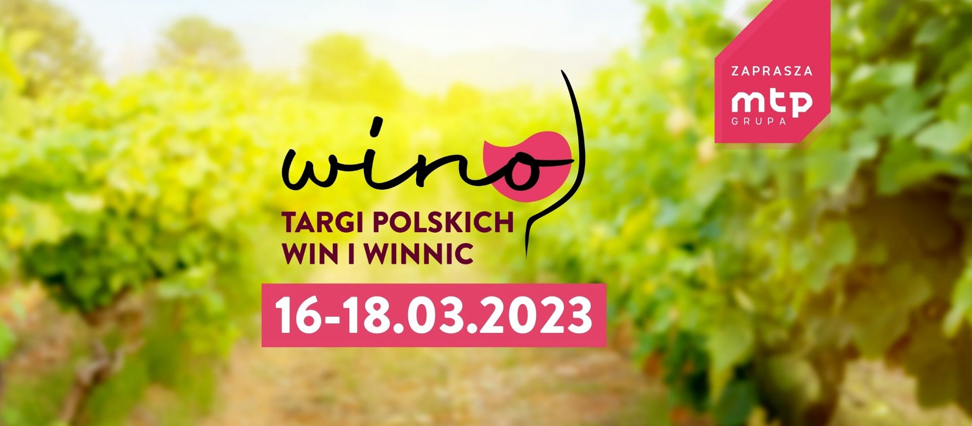 Zdjęcie przedstawia grafikę z napisem "Wino - Targi Polskich Win i Winnic", datą wydarzenia oraz logo Grupy MTP. - grafika rozmowy