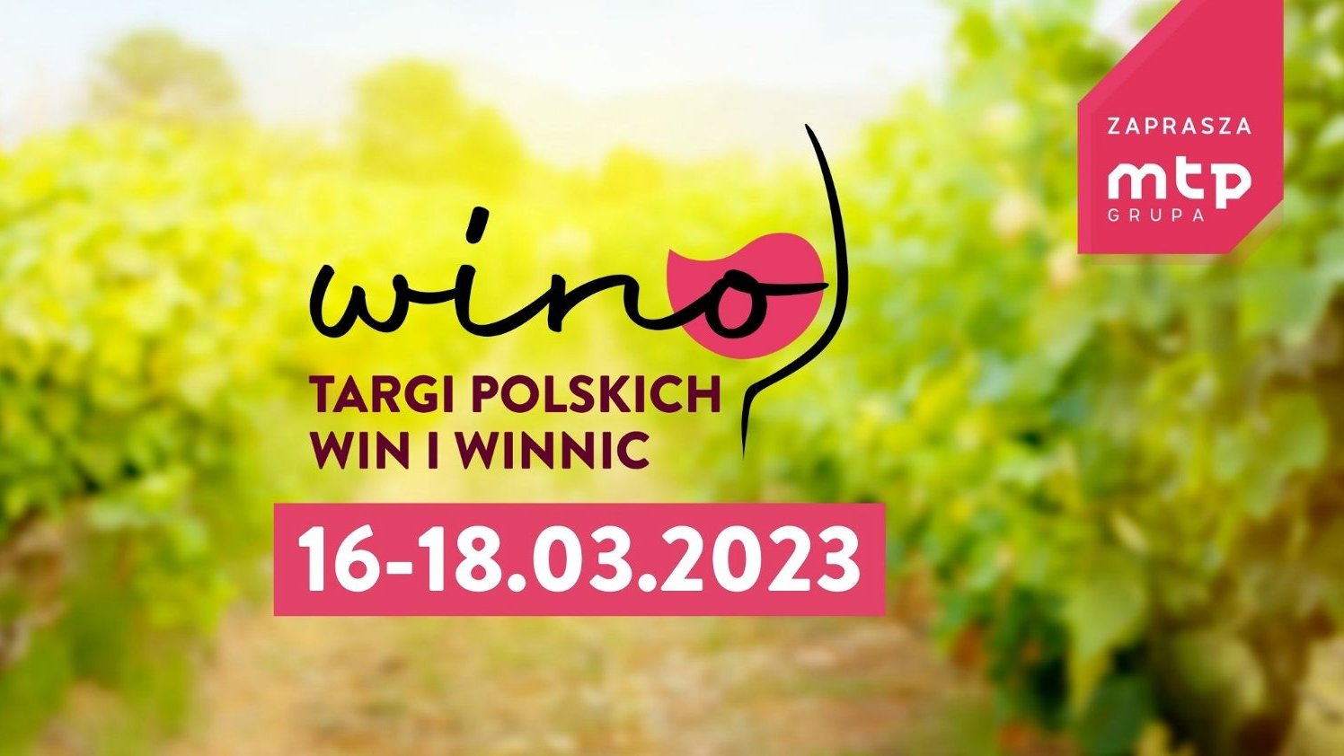 Zdjęcie przedstawia grafikę z napisem "Wino - Targi Polskich Win i Winnic", datą wydarzenia oraz logo Grupy MTP.