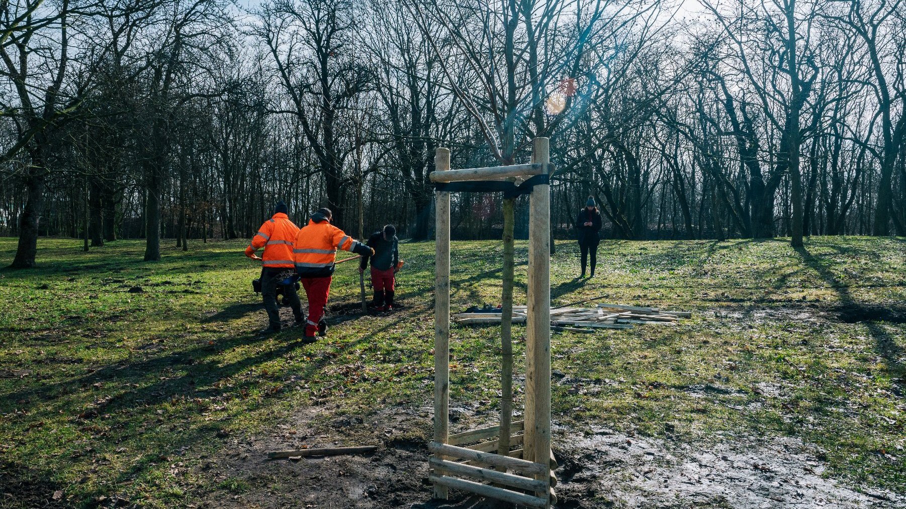 Galeria zdjęć z sadzenia drzew w poznańskim parku