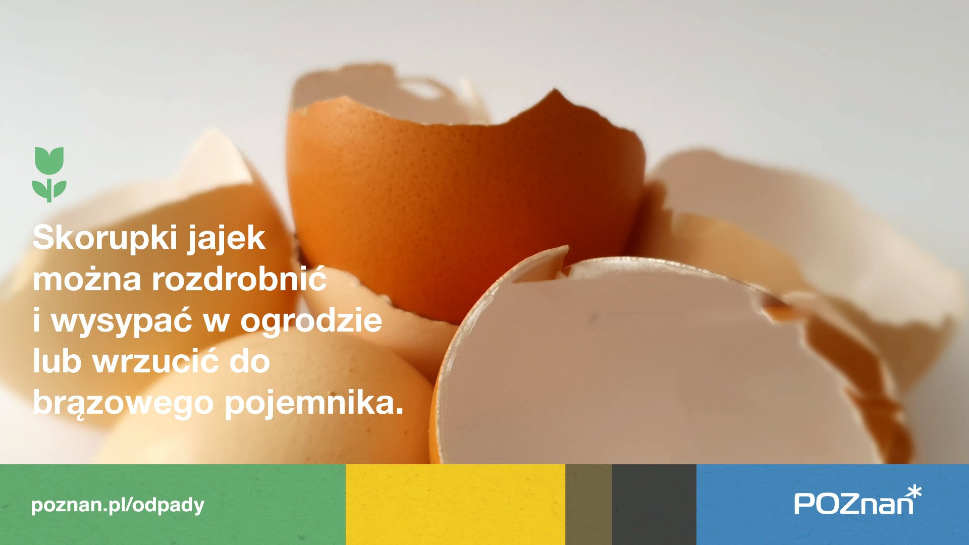 Na zdjęciu infografika na tle zdjęcia skorupek jajek - grafika rozmowy