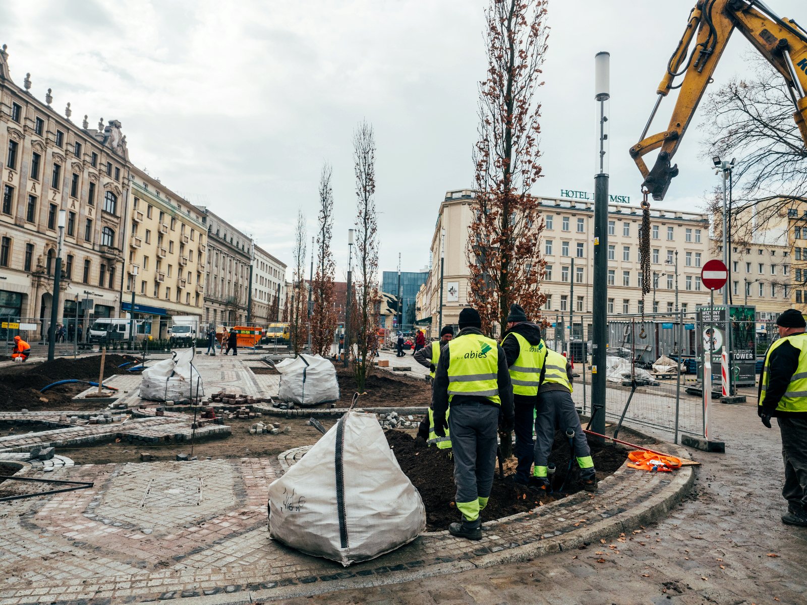 Robotnicy sadzą drzewa na wyspie przy Al. Marcinkowskiego - grafika rozmowy