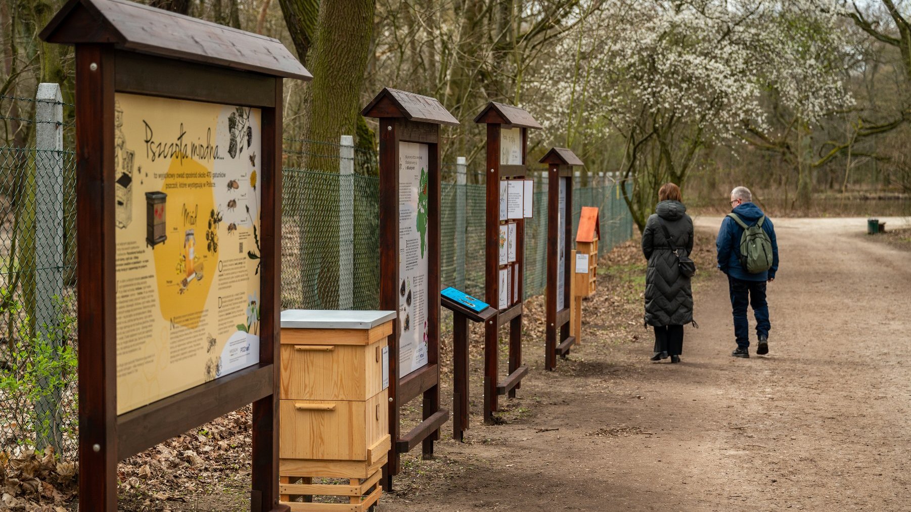 Galeria zdjęć przedstawia ścieżkę edukacyjną "4 pory roku w świecie zapylaczy".