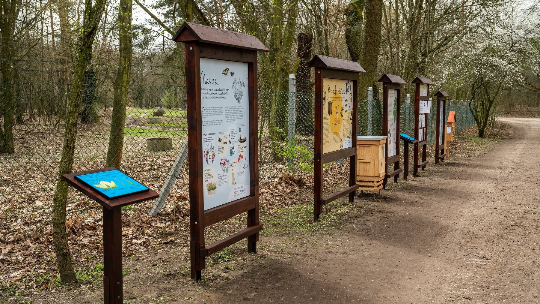 Galeria zdjęć przedstawia ścieżkę edukacyjną "4 pory roku w świecie zapylaczy".