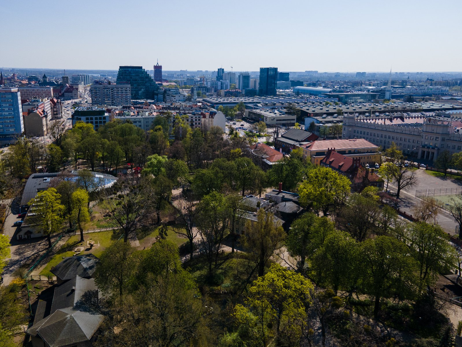 Panorama Poznania. Na pierwszym planie Stare Zoo, w tle m.in. budynek Bałtyk - grafika rozmowy